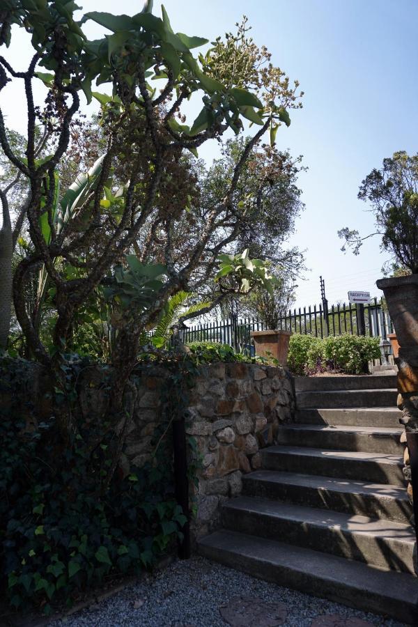 Sheba Rock Guesthouse نيلسبروت المظهر الخارجي الصورة